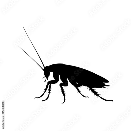Cockroach silhouette icon vector flat illustration on white background.