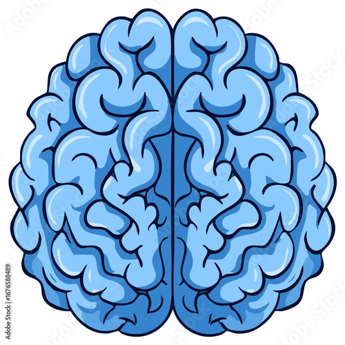 Light Blue Brain Illustration Detailed Anatomy Health Concept Nervous System