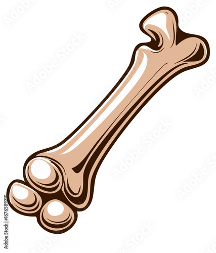 Cartoon Bone Illustration for Medical, Veterinary and Halloween Themed Design