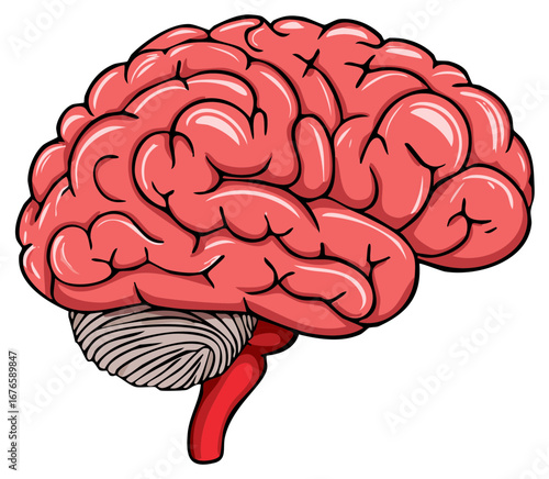 Cartoon human brain illustration representing intelligence thought and medical health concepts