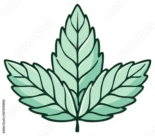Stylized fresh mint leaf illustration green plant drawing natural ingredient design