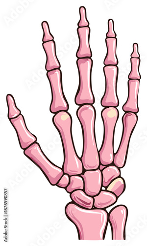 Stylized pink human hand skeleton illustration showing anatomical bones structure