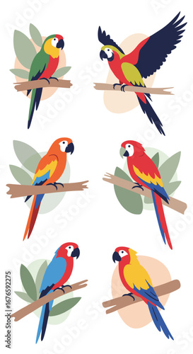 Vibrant tropical parrots perched on branches in a colorful assemblage