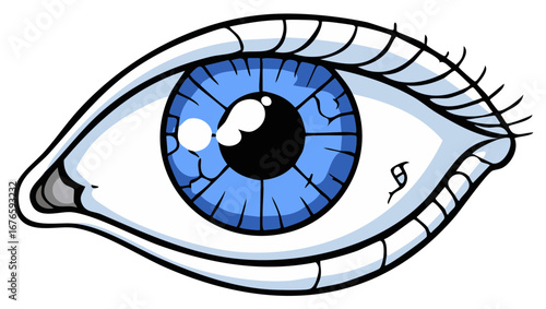 Human Eye Illustration Blue Iris Black Pupil Eyelashes Cartoon Style Vision Detailed Anatomy Medical Organ
