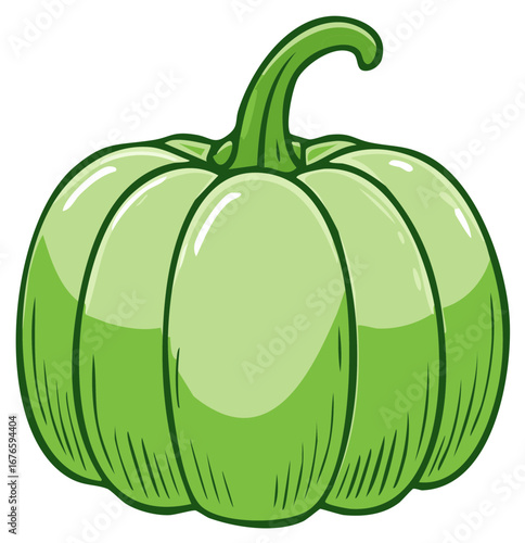 Green pumpkin squash illustration cartoon style, harvest, vegetable, isolated