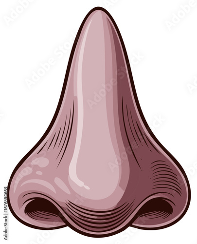 Illustration of human nose with details and color shading concept art