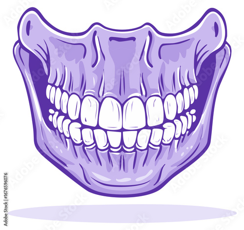 Human jawbone with a full set of teeth in a bold purple comic book illustration style