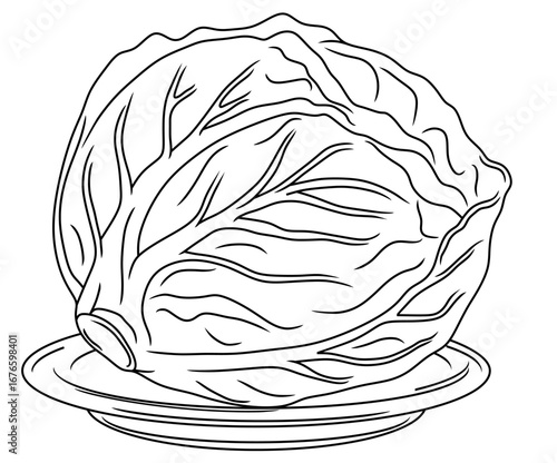 cabbage leaves on a plate