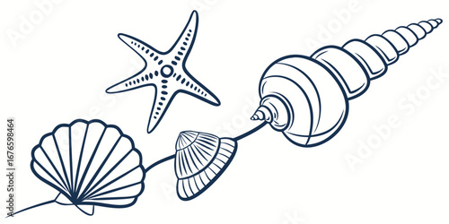 sea shells vector illustration