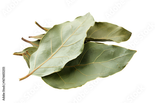 Dried Bay Leaves Aromatic Spice Herb