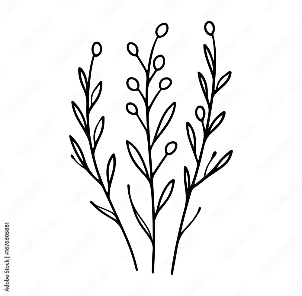 Fototapeta premium Elegant Hand-Drawn Black and White Botanical Illustration of Plant Stems