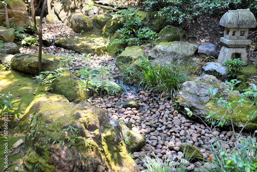 日本庭園の川