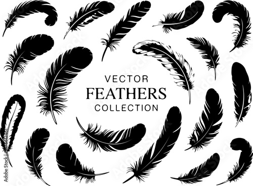 Vector Feather Collection – Black Silhouette Design Set"