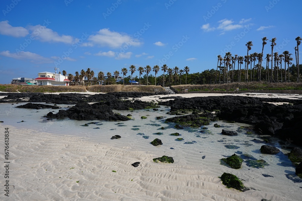Naklejka premium shoaling sand beach and clear water