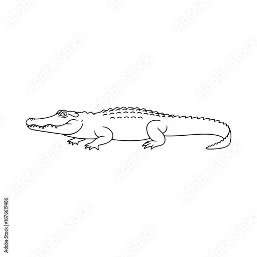A simple black and white line drawing of a crocodile or alligator. Hand drawn reptile illustration for coloring pages or educational material. Isolated on white background.