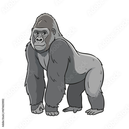 A strong silverback gorilla standing in a powerful pose. This detailed illustration is great for zoo themes, wildlife conservation topics, and educational content about primates.