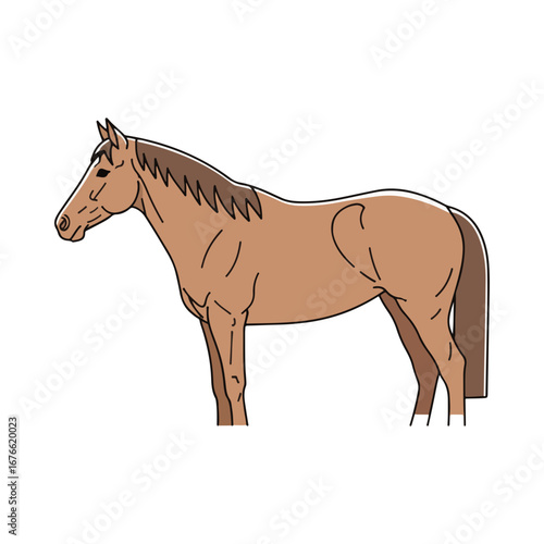 A classic illustration of a brown horse standing in a side profile. This simple and clean design is suitable for equestrian themes, farm animal graphics, or children's books.