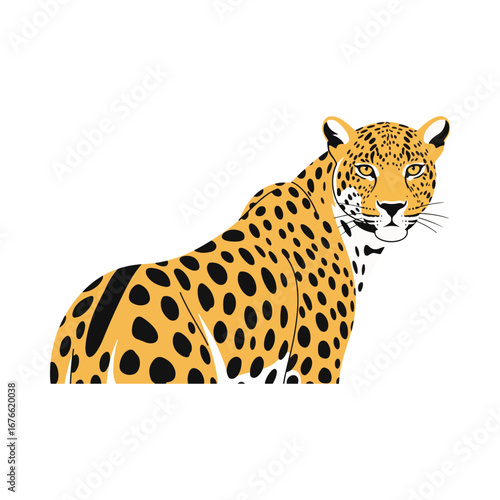 A beautiful and detailed illustration of a jaguar. This spotted wild cat graphic is ideal for designs related to the jungle, safari, wildlife conservation, and nature.