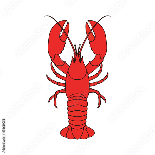 A bright red lobster or crayfish illustration. This graphic is perfect for seafood menus, restaurant logos, marine life themes, and aquatic animal designs.