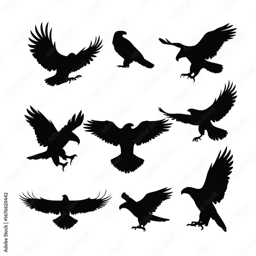 Obraz premium Dynamic Bird Silhouettes in Flight – Minimalist Vector Set