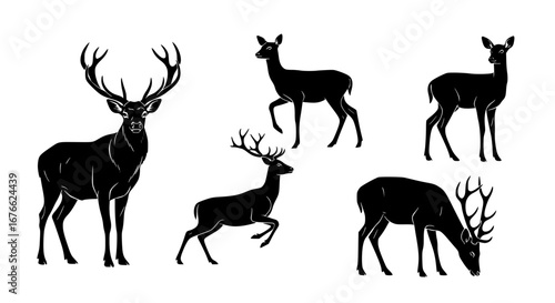 Vector art of silhouette of deer, vector illustration set for POD