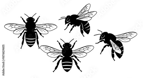Vector art of set of four bee silhouettes for design elements for POD