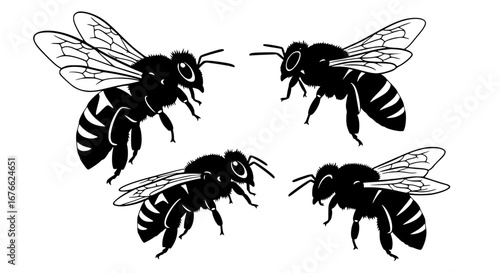 Vector art of collection of bee silhouettes, vector illustration for POD