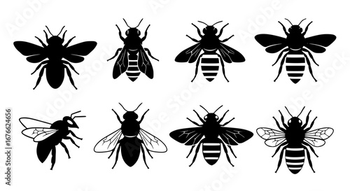 Vector art of collection of bee silhouettes in different poses for POD