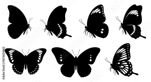 Vector art of collection of butterfly silhouettes, vector illustration for POD