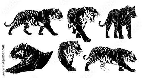 Vector art of collection of tiger silhouettes for design use for POD