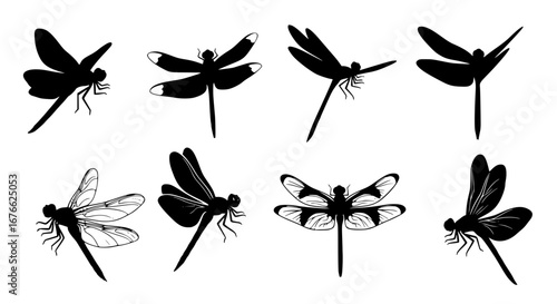 Vector art of collection of dragonfly silhouettes in various shapes for POD