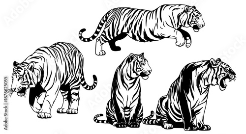 Vector art of collection of tiger outlines for design use for POD