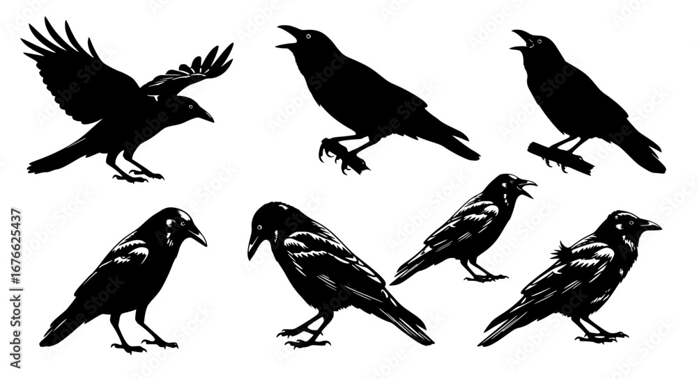Obraz premium Vector art of crow silhouettes in different poses for design for POD