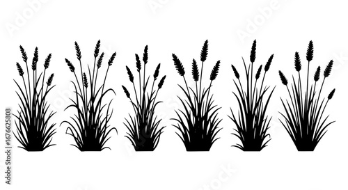 Vector art of set of grass silhouettes for design and decoration use for POD