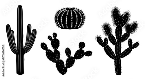 Vector art of collection of various cactus silhouettes for design use for POD