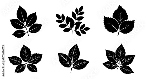 Vector art of collection of various leaf silhouettes for design use for POD