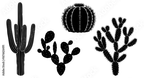 Vector art of silhouette of various cactus plants in vector format for POD