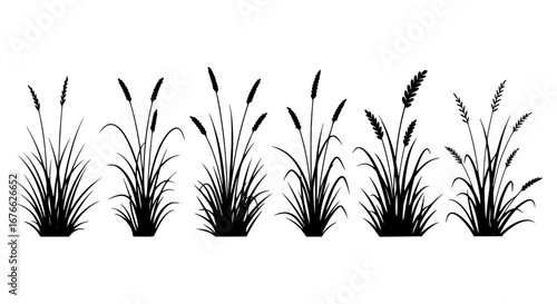 Vector art of silhouette of grass plants for design and decoration needs for POD