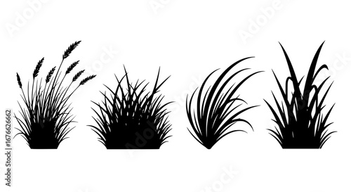 Vector art of silhouette of various grass plants for design needs for POD