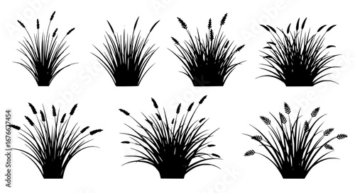 Vector art of set of six grass silhouettes for landscape design for POD
