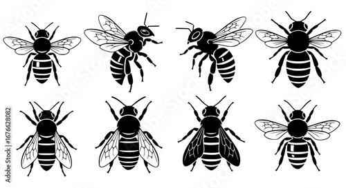 Vector art of collection of bee illustrations for your design for POD