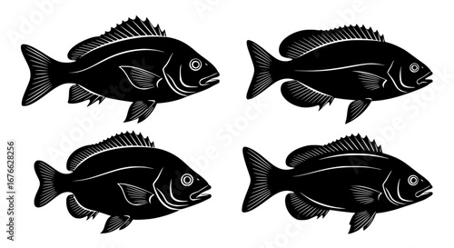 Vector art of four fish silhouettes in a vector illustration for POD