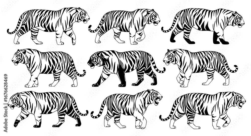 Obraz premium Vector art of silhouette of tigers in different poses for POD