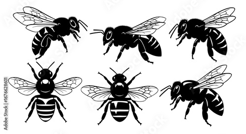 Vector art of collection of bees in black and white vector art for POD