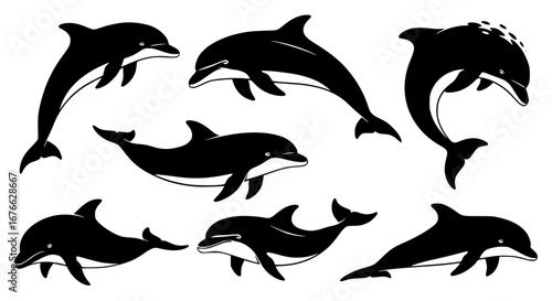Vector art of collection of dolphin illustrations for design and decoration for POD