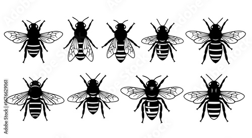 Vector art of honey bee insect collection in a vector illustration for POD