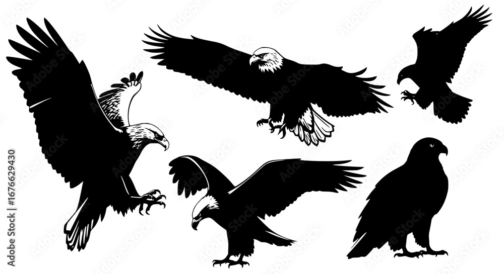 Obraz premium Vector art of group of eagles in black and white for POD