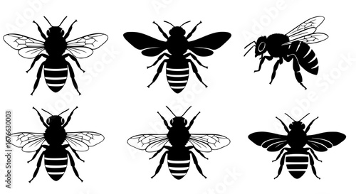 Vector art of bee illustration set, vintage drawing style art for POD