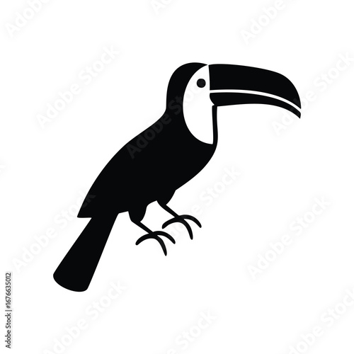 Black toucan bird with large beak white