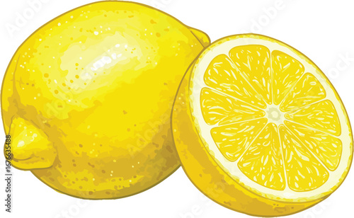 Fresh whole and halved lemon on white background on transparent background